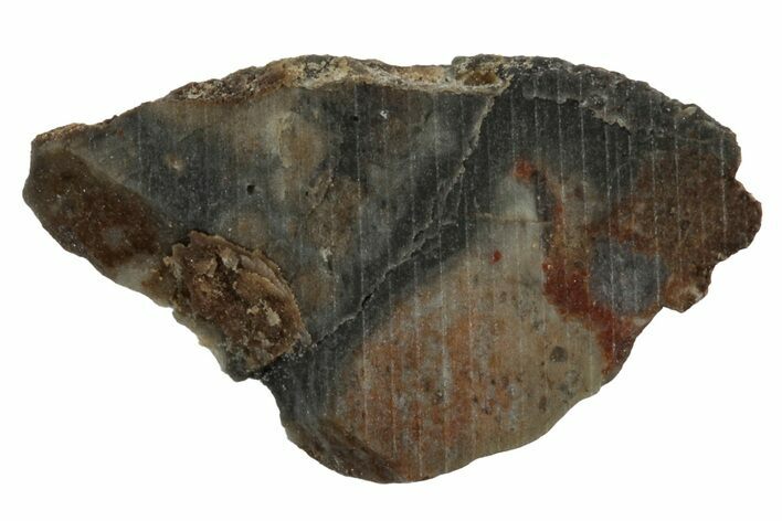 Lunar Meteorite Slice ( g) - NWA #346560